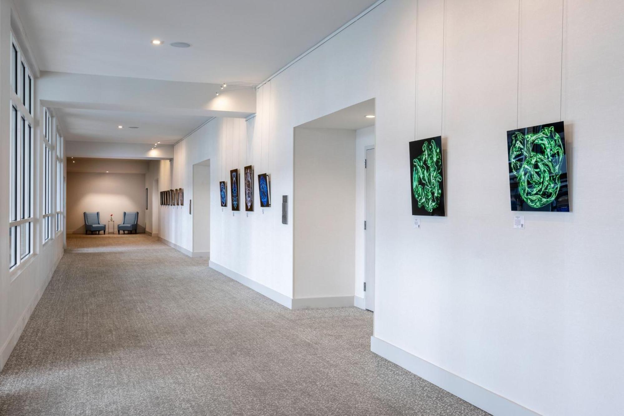 Springhill Suites By Marriott Amelia Island Fernandina Beach Extérieur photo
